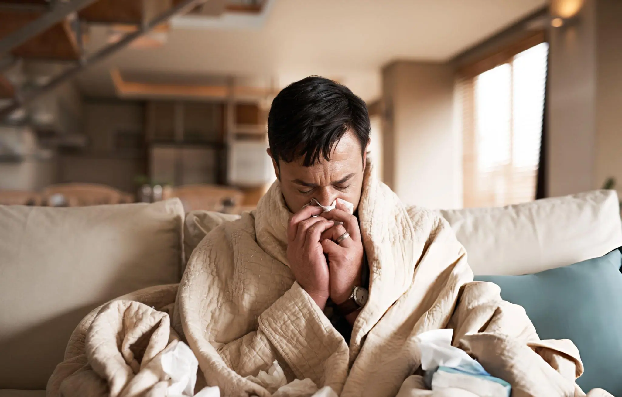 Blog Hay Fever Allergy Season